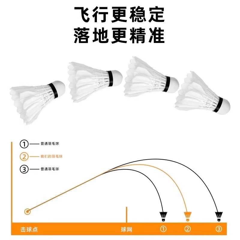 ライオンバドミントンシャトルコック グースフェザー 12個入 - Feather Shuttlecock のレビューと価格